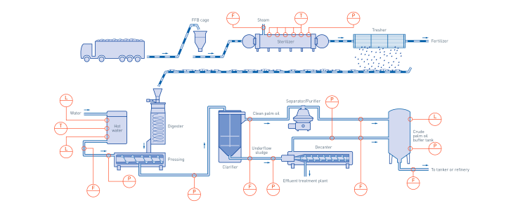 Production chain of palm oil Production chain of palm oil