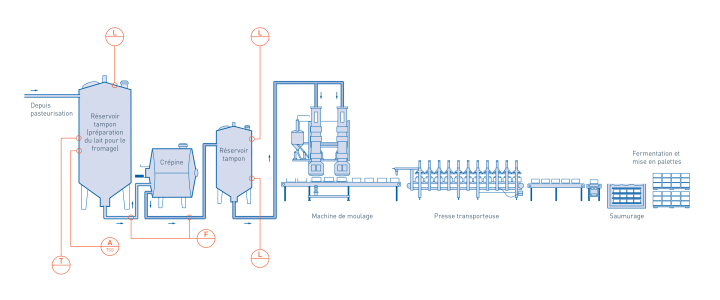Coagulation, caillage/décaillage, saumurage et maturation dans la production de beurre et de fromage Coagulation, caillage/décaillage, saumurage et maturation dans la production de beurre et de fromage