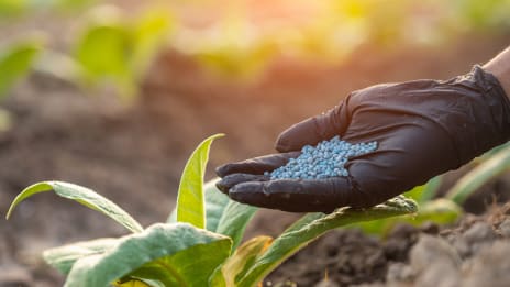 Fertilisers