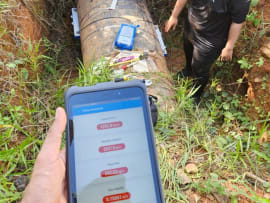 Mass flow measurement