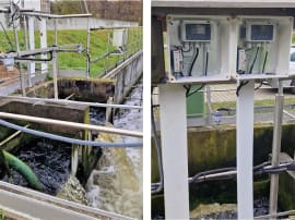 Flow and density measurement