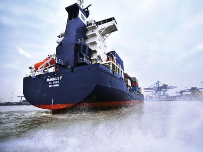 Container ship runs into the harbour