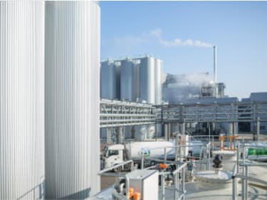 Equipping a cheese dairy with flow, level and analysis instruments