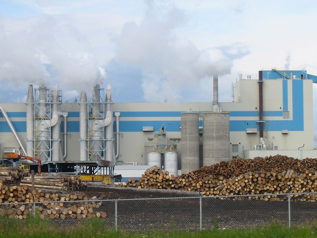 Measuring level of wood chips in a silo with steam injection