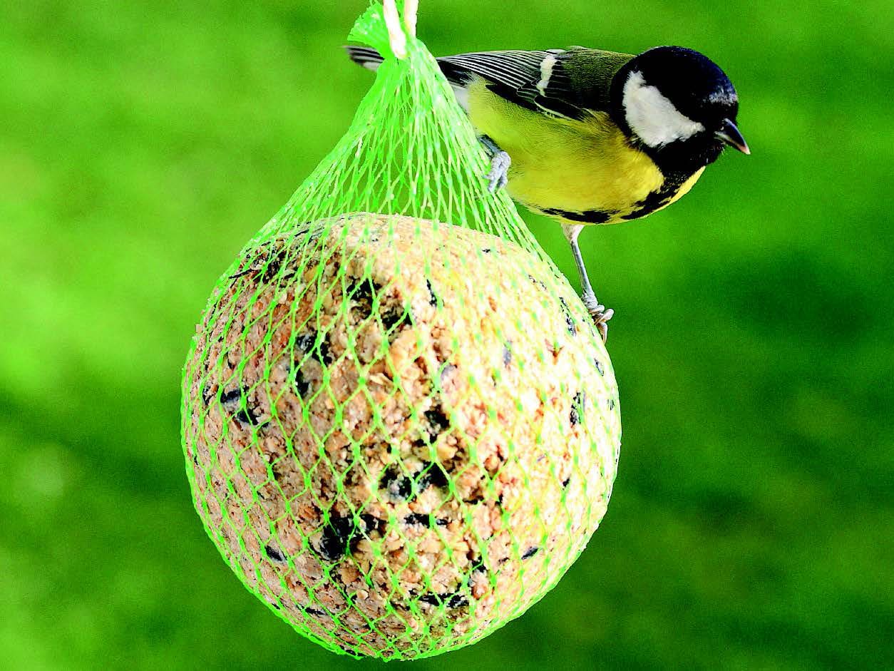 Automated filling of mixing tanks for bird food