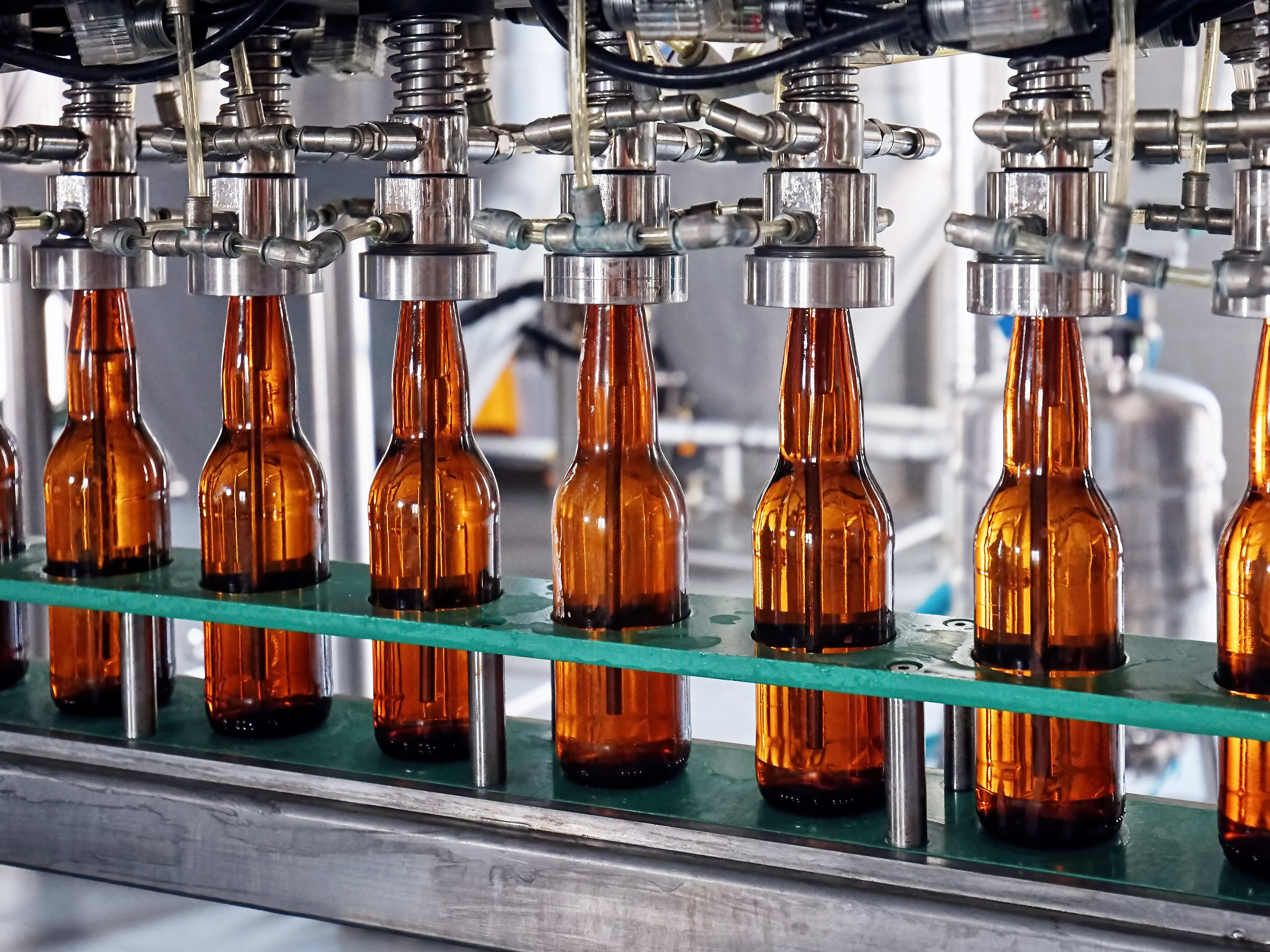 Beer production in the food & beverage industry Beer bottles filling on the convey or belt in the brewery factory