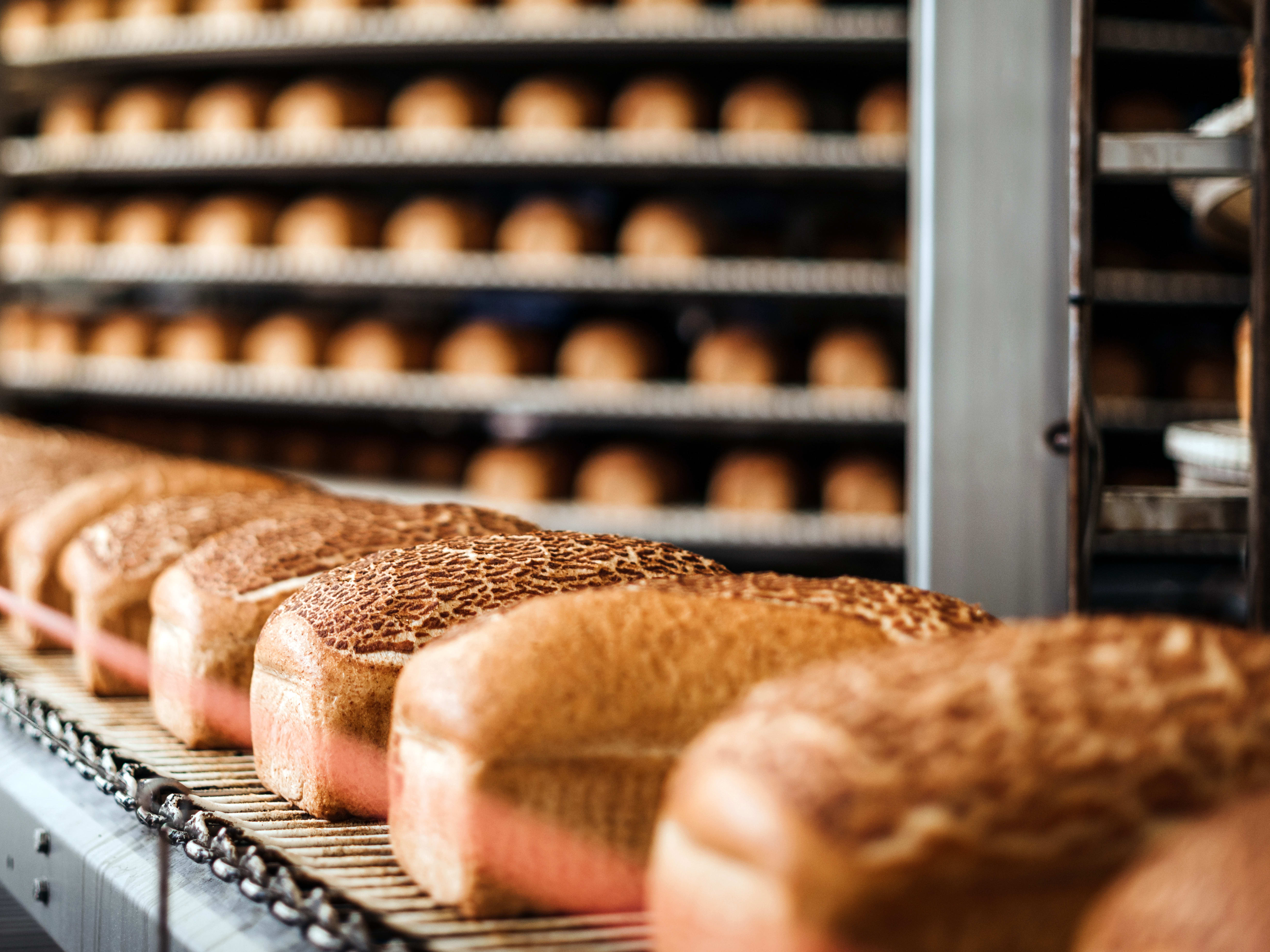 Bread, fresh pastry goods & cake production in the food & beverage industry Loafs of bread in a bakery on an automated convey or belt
