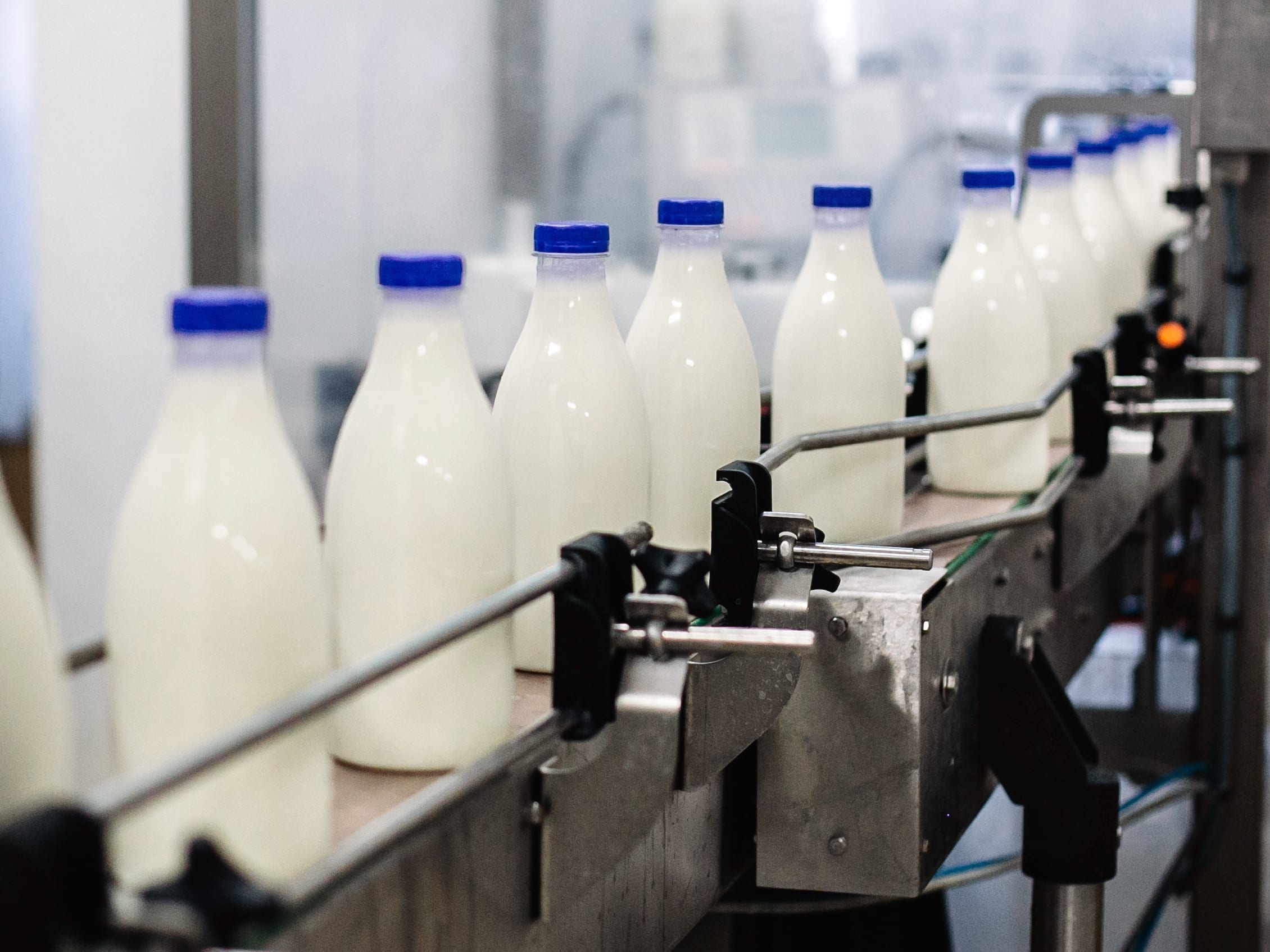 Производство жидкого молока и сливок в пищевой промышленности Complete milk bottling line in a factory diary