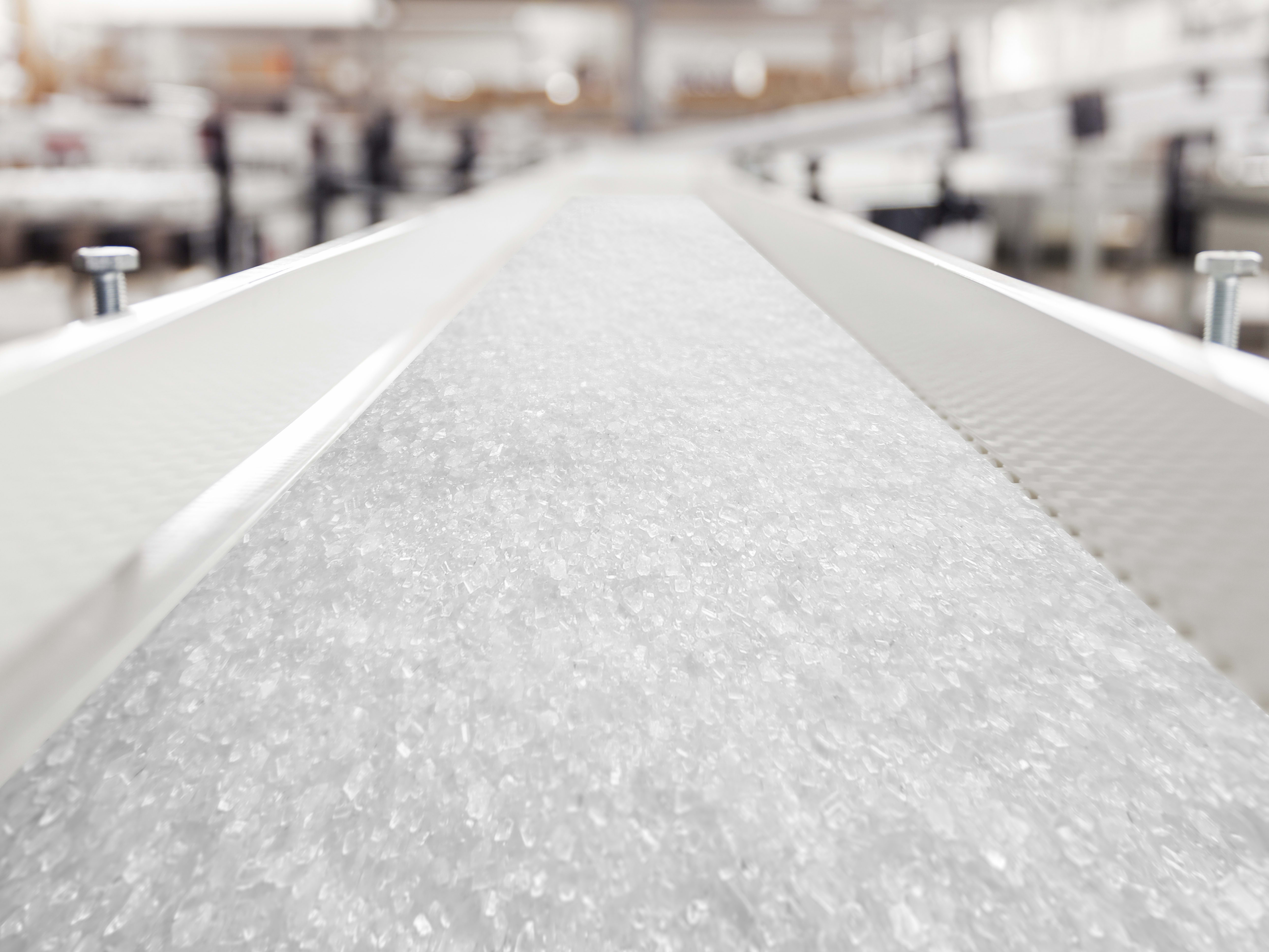 Sugar production in the food & beverage industry Conveyer belt with sugar