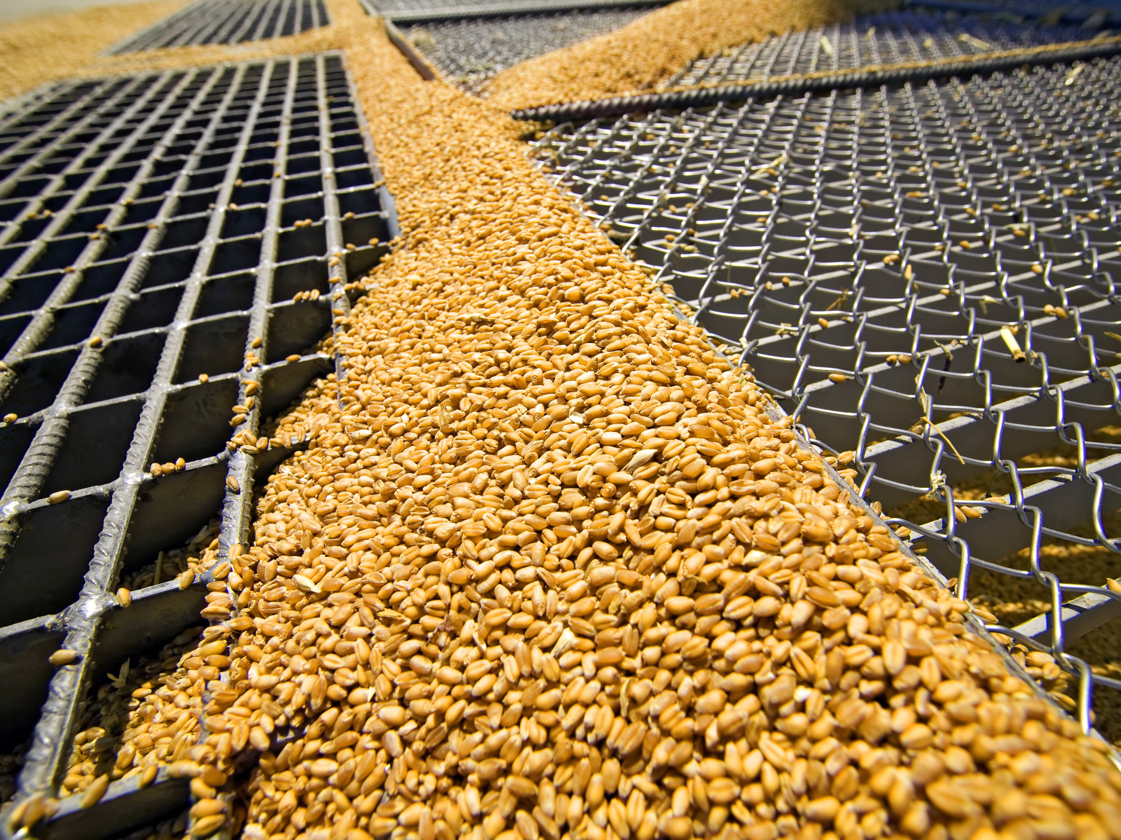 Grain production in the food & beverage industry KROHNE Group